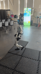 Humanoid robot observed walking and dancing in indoor facility