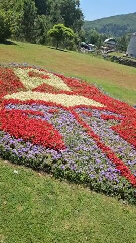 This media file depicts a large, colorful flower arrangement in an outdoor setting, likely a park or garden, on a sunny day. The arrangement is shaped like a stylized bird, possibly an eagle, with its wings spread. The bird is formed by alternating bands of red, white, and purple flowers. The foreground is dominated by lush green grass, with the flowerbed itself situated on a gentle slope. In the background, a treed hillside rises, with a few buildings and vehicles visible amongst the trees, suggesting a semi-rural or park-like environment. The overall impression is one of natural beauty and careful landscaping. The clear blue sky and bright sunlight indicate it is daytime, likely midday, and the weather appears warm and pleasant. There is no visible text in the media file. The location context of Cetinje, Montenegro, suggests this could be a public garden or monument within the city.
