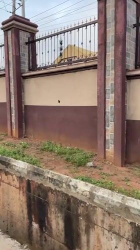 Man carries plastic bundle on head in Onitsha street scene