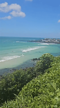 Jeju coastline: turquoise water, rocky beach, lush greenery