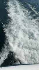 Boat excursion documented on Lake Como near Nesso