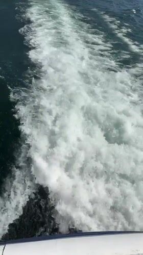 Boat excursion documented on Lake Como near Nesso