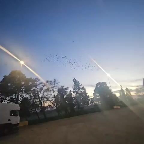 The video shows several trucks parked in a lot as the sun sets or rises, casting long streaks of light across the sky. Trees line the horizon, silhouetted against the blue sky. Streetlights illuminate the area, adding to the brightness of the scene. In the foreground are four trucks of various colors - white, red, and dark red - parked in a row. A flock of birds flies in the sky above.  The overall impression is one of tranquility in a transportation hub at dawn or dusk.