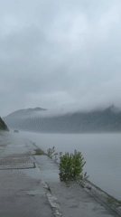 Vehicle parked beside water in foggy Divnogorsk morning