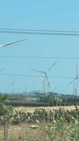 The video displays a landscape dominated by numerous large wind turbines under a clear, bright blue sky. The camera appears to be moving, offering a panning view of the area.

In the foreground, several power lines stretch horizontally across the frame. The terrain is dry and somewhat barren, with patches of scrub and small, scattered shrubs. A dirt track or unpaved area is visible in the immediate foreground.

Throughout the video, multiple white wind turbines with three blades are visible. Some of the turbine blades have red tips, and one turbine has a noticeable green-painted base. In the mid-ground, there's a structure with a metal roof covering what appears to be industrial equipment, possibly part of a power station or substation. Further in the background, more wind turbines are scattered across the landscape, with distant hills or mountains visible on the horizon. A small, rusty-roofed shack is also briefly seen. The overall impression is a large-scale renewable energy facility in a sunny, open environment. No discernible text is visible in the video.