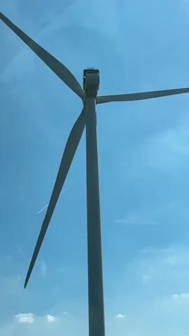 The video shows a row of wind turbines in a field, as seen from a moving vehicle. The turbines are white and stand tall against a clear blue sky with some wispy clouds. A green field lies between the road and the turbines, with a line of small trees and some cows grazing in the distance. The sun is shining brightly, creating a slight glare on the windshield of the vehicle. The camera appears to be inside a car, as indicated by reflections on the window. The focus gradually shifts from the turbines close to the vehicle to those further away, illustrating the extent of the wind farm.