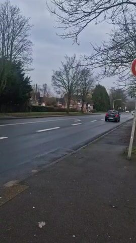 The camera is positioned on a sidewalk beside a road marked with double white lines, indicating two lanes in the same direction. A 50 speed limit sign is visible. Cars drive on the road. The weather appears overcast, and bare trees line the road, suggesting it may be late fall or winter. Houses can be seen behind the trees. The ground is wet, and the camera pans slightly along the road.