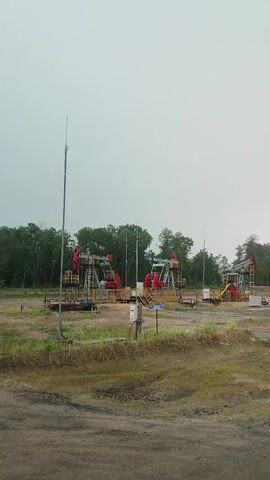 A wide shot captures an overcast sky above a rural landscape. In the middle ground, several red and yellow pumpjacks, also known as "nodding donkeys," are actively engaged in oil extraction. These machines are positioned in a clearing surrounded by dense green trees. In the foreground, a muddy, dirt road or path is visible, with dry grass and patches of dirt on either side. The overall scene suggests an active oil field in a natural setting.