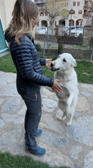 Woman interacts with white dog on stone patio in Benasque