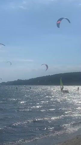 The video shows a wide shot of a body of water on a clear, sunny day. The sky is blue with a few wispy clouds. The water is choppy and reflects the sunlight, creating a shimmering effect. Several people are engaged in watersports, primarily kitesurfing and windsurfing. Kitesurfers are visible in the sky with their colorful kites, some close to the water and others higher up. Windsurfers are also scattered across the water, their sails visible. In the background, a tree-lined shore is visible, with some structures that appear to be buildings or a castle on a hill. The scene suggests a popular location for watersports.