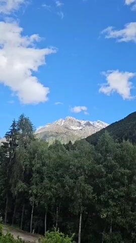 The video captures a serene panoramic view of a mountainous landscape under a clear blue sky adorned with scattered white cumulus clouds. The camera slowly pans from left to right, showcasing the natural beauty of the region.

In the foreground and midground, a dense forest covers the lower slopes, featuring a mix of vibrant green coniferous and deciduous trees. Beyond the treeline, towering mountain peaks dominate the background. These majestic summits are visibly capped with white snow, suggesting a high-altitude location or a prolonged winter. The lighting indicates it is daytime, likely a bright and sunny day.

An off-camera speaker can be heard remarking in Russian, "Сегодня 3 июня, а у нас ещё снег в горах лежит," which translates to "Today is June 3rd, and we still have snow in the mountains." This commentary highlights the presence of lingering snow in early June, typical for high-altitude alpine regions such as Ponte di Legno, Italy, which is the specified location context.

There are no people or specific objects visible in the frame, and no discernible text is present. The focus remains entirely on the expansive natural scenery.