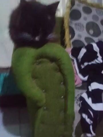 A black cat is lying on a green bolster pillow. A black and white patterned shirt is on the bed next to the pillow. The camera zooms in on the cat.