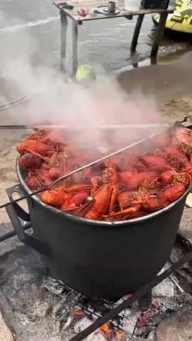 A large black pot is filled with bright red crawfish, steaming from being cooked over an open fire. The pot is elevated on a metal stand with embers glowing beneath it. In the background, a sandy shore meets a body of water, possibly a lake or river, with a few wooden posts and a table visible. A partially eaten watermelon rests on the sand near the water. The overall scene suggests an outdoor cooking event.