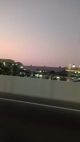 A slightly blurry, horizontal video captures a street-level view of a building with illuminated signage against a dusky, purple-pink sky. A thick, blurred vertical object, likely a tree trunk, is visible in the foreground on the left. A palm tree stands prominently in front of the building. The building appears to be a retail establishment, with visible red lettering on its facade. A white concrete barrier runs horizontally across the middle ground, separating the street from the building. A dark asphalt road is visible in the foreground. The overall scene suggests an urban or suburban environment during twilight.