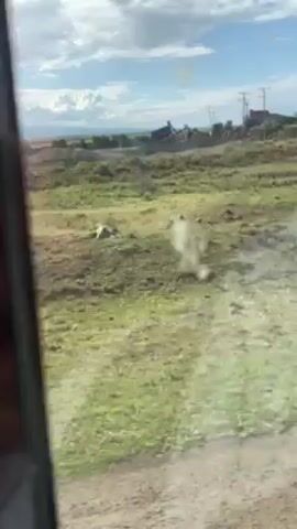 The video shows a landscape viewed through the window of a moving vehicle. The scenery consists of a grassy field with scattered rocks and some low-lying vegetation. In the distance, there are utility poles, buildings, and a large structure that appears to be a crane or similar industrial apparatus. The sky is partly cloudy. The camera is moving and focuses on the passing scenery, creating motion blur.