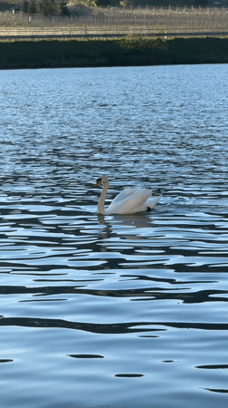 Spring afternoon scenes captured around Beilstein, Germany