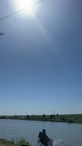 The video depicts a clear, bright blue sky. A single airplane is visible, flying high in the sky. The airplane is relatively small in the frame and appears to be a private jet. The ground below is partially visible, showing some green vegetation and a couple of light poles. The camera appears to be held still, providing a stable view of the airplane as it moves across the sky.