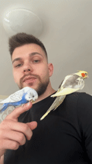 Man interacts with pet birds at Sofia home