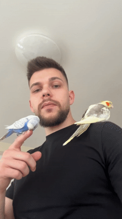 Man interacts with pet birds at Sofia home
