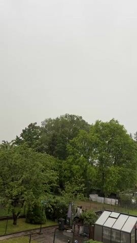 The view from a high angle captures a lush, green landscape under a heavy, overcast sky. A dense collection of trees, varying in size and foliage, dominates the middle ground. Below them, a garden area is visible, featuring a greenhouse, a barbecue grill, and other garden accessories. A black fence runs along the perimeter. The sky is uniformly grey, indicating a rainy or heavily clouded day.