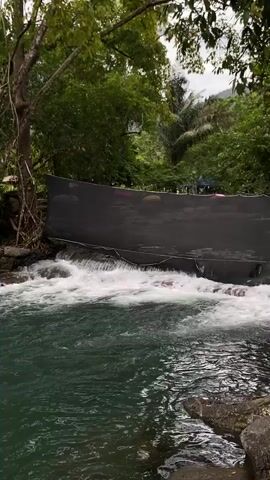 The video shows a small waterfall or rapids in a lush, green environment. Water flows over rocks and under a black mesh barrier stretched across the stream. The water is a clear, dark-green color. Trees surround the stream, creating a dense canopy overhead. The atmosphere is peaceful and natural.