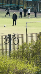 Casual moments captured in Staraya: soccer, bubbles, cat grooming