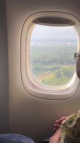 The video shows a person looking out of an airplane window at a dense forest below. The person's head and shoulders are visible in the bottom right corner of the frame, and they are wearing glasses and a patterned shirt. The airplane window is oval-shaped and made of white material. The view outside the window reveals a vast expanse of green trees, with a railway line visible in the distance. In the far distance, buildings can be seen, suggesting the proximity of a city. The lighting suggests it is daytime, and the sky appears cloudy. The person's hands are folded in their lap, and they appear to be calmly observing the landscape. The camera is positioned to capture both the person and the view from the window.
