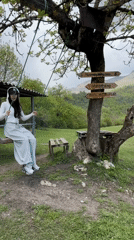 Woman enjoys tree swing at scenic Teghut location
