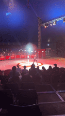 Circus performance features plate balancing and tumbling acts in London