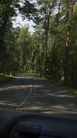 The video shows a first-person perspective of driving on a paved road through a forest. The road is lined with tall trees on both sides, creating a tunnel-like effect. Sunlight filters through the leaves, casting shadows on the road. There are white lines marking the lanes on the road, and occasional white posts on the sides. In the distance, a blue sign is visible on the right side of the road. The interior of a vehicle, likely a car, is visible at the bottom of the frame, suggesting the viewpoint is from the driver's seat. The overall environment is natural and wooded, with a clear sky visible through the tree canopy.