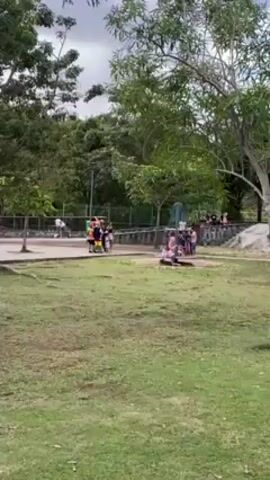 The camera pans across a park with green grass, trees, a playground, and a pink-colored skatepark area. Some people are gathered around the playground, and others are on the skatepark surface. A child runs across the grass. The sky is overcast.
