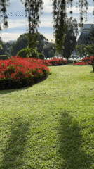 Early morning park scenes documented in Da Lat, Vietnam