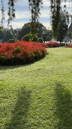 Early morning park scenes documented in Da Lat, Vietnam