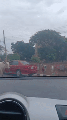 Daily life documented in Shaba, Nigeria during morning hours