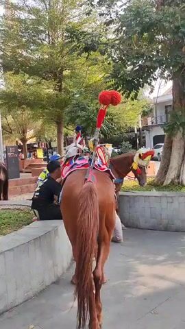 The video shows an outdoor scene with several horses and people. In the foreground, a brown horse is facing away from the camera, with a person sitting behind it. The horse is decorated with a colorful saddle and a red plume on its head. In the background, there are other horses, some of which are black, also decorated with saddles and plumes. Several people are seated on raised brick structures, appearing to be watching or waiting. The environment seems to be a park or public space with trees and paved walkways. The lighting suggests it is daytime, possibly late afternoon.