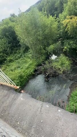 The video shows a view from a damaged bridge overlooking a river. The bridge railing is partially broken and rusty. The river flows through a forested area with lush green trees and vegetation. There are fallen branches and debris in the river. The water appears somewhat murky. The sky is overcast.
