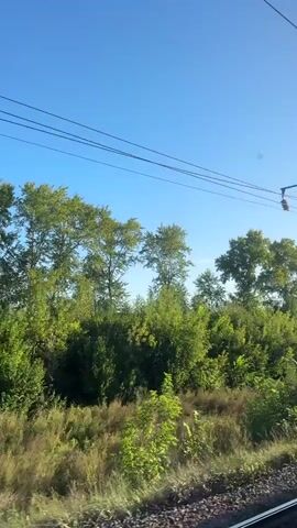 The video captures a view from a moving train, showing a clear blue sky and a line of trees. A tall utility pole with wires is visible on the left side of the frame. The train tracks are in the lower right corner, indicating the forward motion. The landscape is dominated by green foliage and dry grass, suggesting a rural or suburban setting. The sun appears to be shining, casting a bright light on the scene.