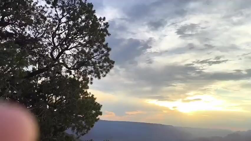 The video shows a sunrise over a canyon, likely the Grand Canyon, with the sun breaking through clouds and casting rays of light onto the landscape. A tree is visible in the foreground on the left side of the screen, its branches reaching into the frame. The sky is filled with dramatic clouds, some white and wispy, others darker and more textured, creating a sense of depth and movement. The canyon below appears vast and layered, with shadows and light highlighting its geological features. The overall impression is one of natural beauty and the awe-inspiring power of the sunrise.