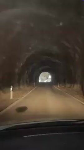 The video shows a car driving through a dark tunnel. The tunnel is carved out of rock and has a rough, uneven surface. The road inside the tunnel is paved, and there are white and red striped markers along the sides. Light from the tunnel entrance is visible in the distance. The camera is mounted inside the car, providing a view of the road ahead and the car's dashboard.