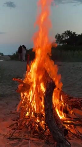 A campfire blazes in the foreground on a sandy beach, with two people standing indistinctly in the background. The campfire is made of various pieces of wood, with the flames reaching high. The beach is sandy, and some sparse vegetation grows behind the campfire. In the distance, beyond the people, a tree line is visible, and the sky is dusky.