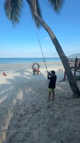 A person on a beach is swinging on a rope swing hanging from a palm tree. The person is wearing a black shirt and yellow shorts. The beach is sandy with palm trees and the ocean in the background. There are other people on the beach in the distance. The sky is clear and blue.