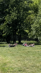 Morning recreation activities observed around Ternopil Lake, Ukraine