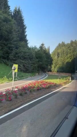 A roadside view captures a winding asphalt road bordered by lush green trees and a clear blue sky. Red flowers line the left side of the road, creating a vibrant contrast. Further along, a rest area with wooden benches and tables is visible, enclosed by a wooden fence. A wooden shelter stands near the rest area. Power lines are strung across the sky, with a utility pole visible in the distance. The scene appears to be a scenic mountain road, possibly in Europe, with a well-maintained road and a designated rest stop for travelers. The video seems to be shot from a moving vehicle, likely a car or bus, offering a dynamic perspective of the landscape.