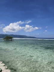 Clear turquoise waters documented at Indonesian coastal location
