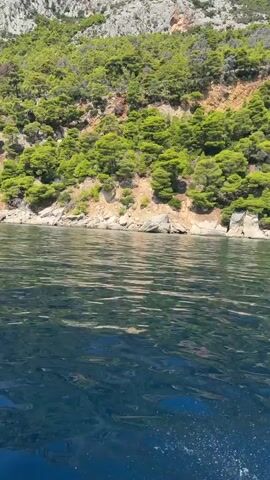 A video taken from a boat moving through blue water. The water is calm with some ripples and white foam from the boat's wake. The shore is to the left, with a steep, rocky cliff covered in green trees and vegetation. The sky is clear and blue.
