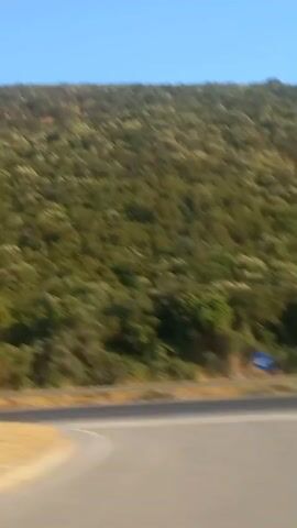 The video shows a landscape with a hill covered in trees and vegetation, a road, and a clear blue sky. The perspective suggests the video is taken from a moving vehicle. The trees on the hill appear to be dense and varied in color, ranging from dark green to lighter shades. A road runs horizontally across the middle of the frame, with dry, yellowish grass on either side of it. There are no people or specific objects clearly visible on the road or in the foreground. The overall impression is of a rural or natural environment.