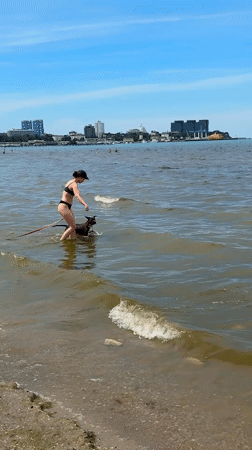 Woman plays fetch with dog at Anapa beach Sunday morning