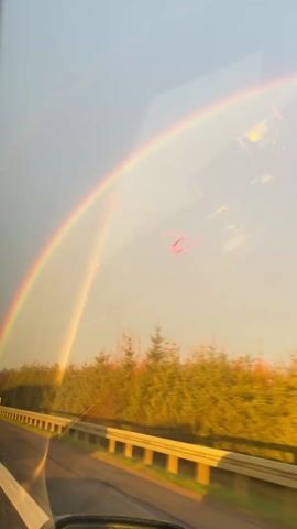 The video shows a view from a moving vehicle, likely a car, looking out the passenger side window. A vibrant rainbow arcs across the sky above a line of trees with autumn-colored foliage. The trees and rainbow are blurred from the motion. A metal guardrail is visible along the side of the road. The sky is a pale, overcast color. The video is shot from inside the vehicle, and reflections are visible on the window.