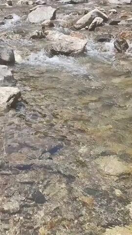 A slow-motion video shows a shallow, clear river flowing over rocks. The water is clear, and the riverbed is visible, composed of rocks and pebbles. The sunlight reflects off the water's surface, creating a shimmering effect. The river appears to be in a natural, outdoor setting, possibly a mountainous or forested area, given the abundance of rocks and the clear, flowing water. There are no people or animals visible in the frame. The focus is on the natural movement of the water and the texture of the riverbed.