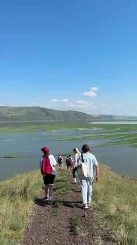 A group of six people are walking along a narrow dirt path on a grassy ridge. The path leads away from the camera, with the people walking in the same direction. The people are wearing casual clothing, including t-shirts, shorts, and backpacks. They appear to be hiking or exploring. The environment is a natural landscape with rolling green hills and a large body of water in the background. The water is dotted with rectangular patches of green vegetation. The sky is clear and blue with a few scattered white clouds. The sun appears to be shining brightly. The video is shot from behind the group, following them as they walk.